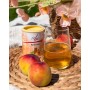 Комплекс вітамінів групи В, концентрація та увага  FitLine Activize Peach Ice-Tea  Активайз персик 175гр