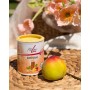 Комплекс вітамінів групи В, концентрація та увага  FitLine Activize Peach Ice-Tea  Активайз персик 175гр
