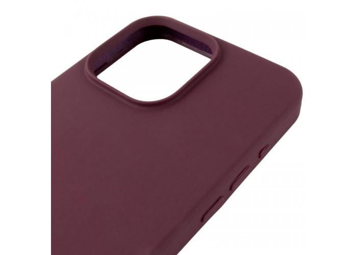 Чохол Silicone Case (AA) Logo with MagSafe для Apple iPhone 11 (6.1