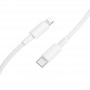 Дата кабель Borofone BX117 Source Type-C to Lightning 27W (1m)