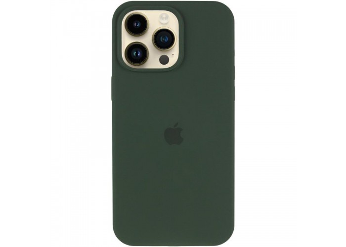 Чохол Silicone Case (AA) Logo with MagSafe для Apple iPhone 12 Pro / 12 (6.1