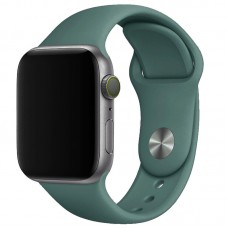 Силіконовий ремінець для Apple Watch 38/40/41/42mm(ser.10)  Зелений / Pine green - 00000012739_60