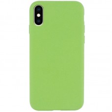 Чохол Silicone Case Full Protective (AA) NO LOGO для Apple iPhone X / XS (5.8")  М'ятний / Mint - 00000072439_23