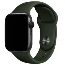 Силіконовий ремінець для Apple Watch 38/40/41/42mm(ser.10)  Зелений / Clover - 00000012739_79