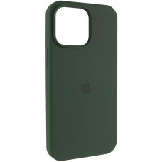 Чохол Silicone Case (AA) Logo with MagSafe для Apple iPhone 11 (6.1")  Зелений / Cyprus Green - 00000080630_9