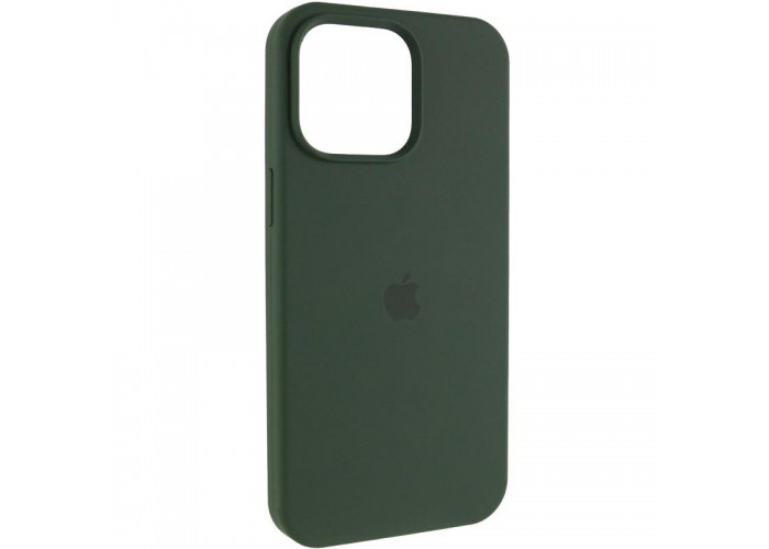 Чохол Silicone Case (AA) Logo with MagSafe для Apple iPhone 11 (6.1