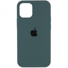 Чохол Silicone Case Full Protective (AA) для Apple iPhone 12 Pro Max (6.7")  Зелений / Cactus - 00000038663_25