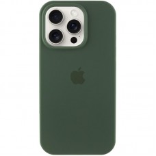 Чохол Silicone Case Full Protective (AA) для Apple iPhone 13 Pro Max (6.7")  Зелений / Cyprus Green - 00000049840_28