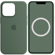 Чохол Silicone case (AAA) with Magsafe and Animation для Apple iPhone 13 Pro Max (6.7")  Зелений / Eucalyptus - 00000051655_11