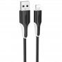 Дата кабель Borofone BX119 New USB to Lightning 2.4A (1m)