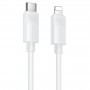 Дата кабель Borofone BX123 Leya Type-C to Lightning 30W (1m)