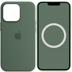 Чохол Silicone case (AAA) with Magsafe and Animation для Apple iPhone 13 Pro (6.1")  Зелений / Eucalyptus - 00000051654_11