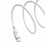 Дата кабель Baseus Silky Series OS Fast Charging USB to Type-C 100W (2m) (P10377703)