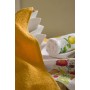 Набір кухонних рушників Home And More - Aster 40x60 (2 од)